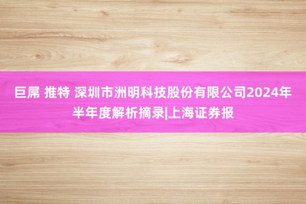 巨屌 推特 深圳市洲明科技股份有限公司2024年半年度解析摘录|上海证券报