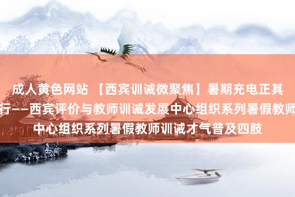 成人黄色网站 【西宾训诫微聚焦】暑期充电正其时，以学赋能共前行——西宾评价与教师训诫发展中心组织系列暑假教师训诫才气普及四肢