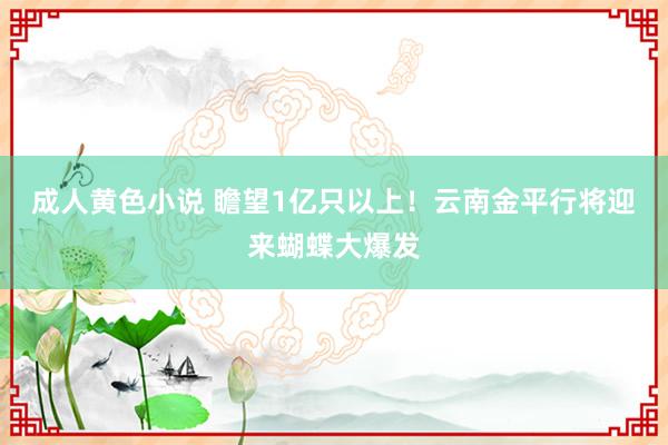 成人黄色小说 瞻望1亿只以上！云南金平行将迎来蝴蝶大爆发