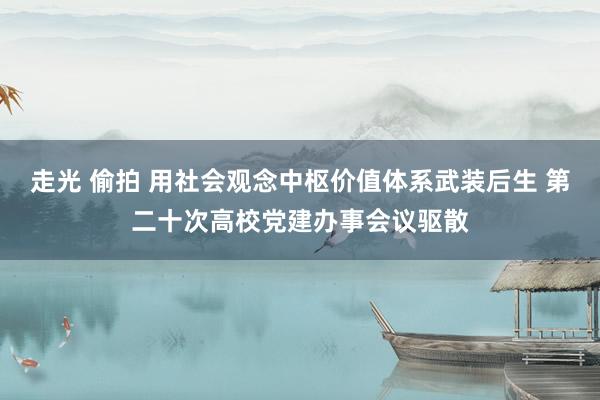 走光 偷拍 用社会观念中枢价值体系武装后生 第二十次高校党建办事会议驱散