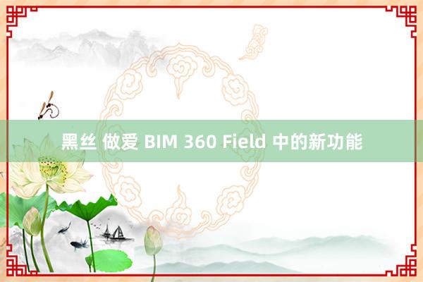 黑丝 做爱 BIM 360 Field 中的新功能