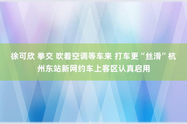 徐可欣 拳交 吹着空调等车来 打车更“丝滑”杭州东站新网约车上客区认真启用