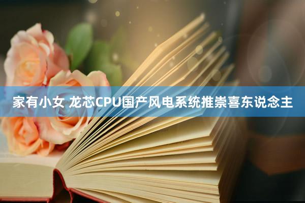 家有小女 龙芯CPU国产风电系统推崇喜东说念主