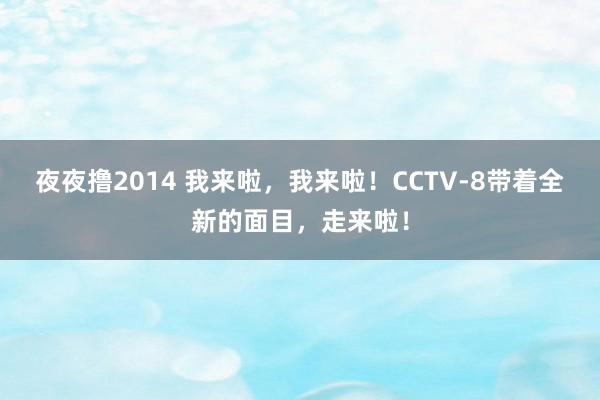 夜夜撸2014 我来啦，我来啦！CCTV-8带着全新的面目，走来啦！