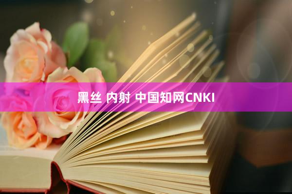 黑丝 内射 中国知网CNKI