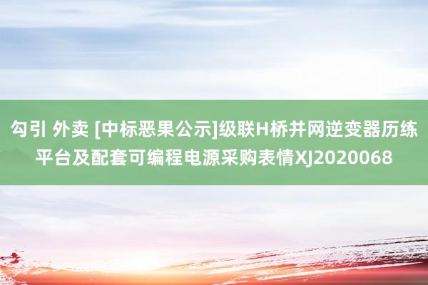 勾引 外卖 [中标恶果公示]级联H桥并网逆变器历练平台及配套可编程电源采购表情XJ2020068