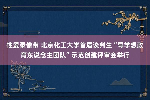 性爱录像带 北京化工大学首届谈判生“导学想政育东说念主团队”示范创建评审会举行