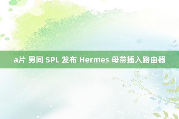 a片 男同 SPL 发布 Hermes 母带插入路由器