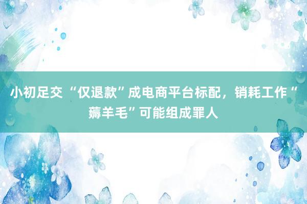 小初足交 “仅退款”成电商平台标配，销耗工作“薅羊毛”可能组成罪人