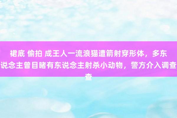 裙底 偷拍 成王人一流浪猫遭箭射穿形体，多东说念主曾目睹有东说念主射杀小动物，警方介入调查