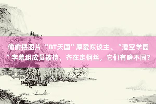 偷偷撸图片 “BT天国”厚爱东谈主、“澄空学园”字幕组成员被持，齐在走钢丝，它们有啥不同？